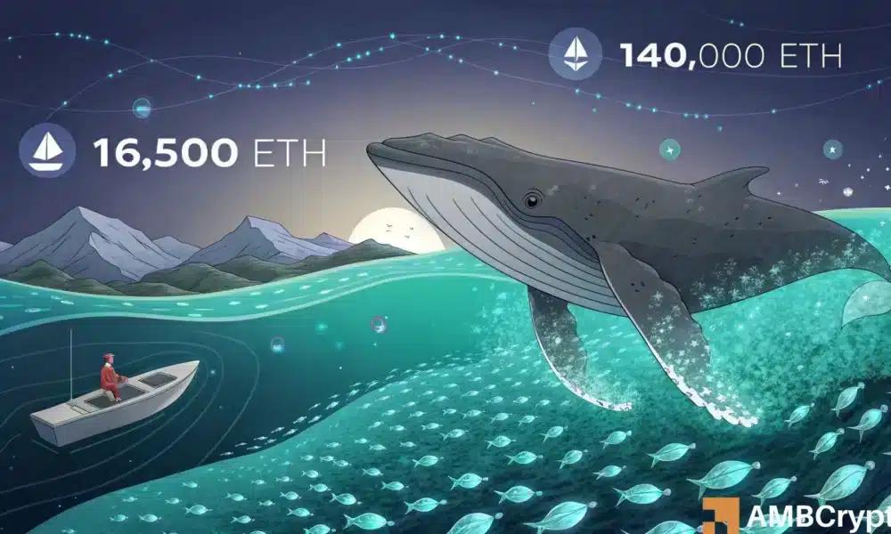 以太坊鲸鱼回购价格高涨——究竟是信念还是 FOMO？